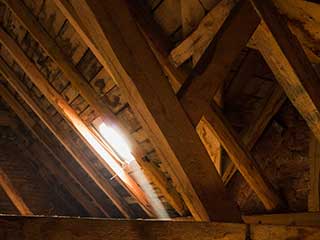 Crawl Space | Attic Cleaning San Ramon, CA